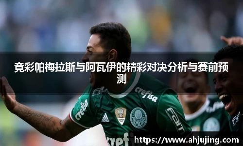 米博体育